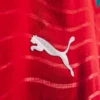 Portugal 2026 World Cup Home Jersey Player Version – Authentic Match Kit Bangladesh